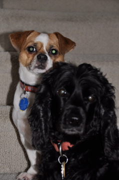 Emma and Daisy